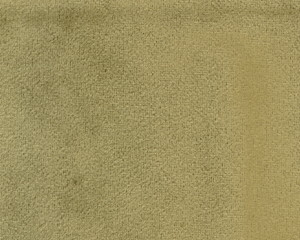 Upholstery Fabric Lichen Velvet