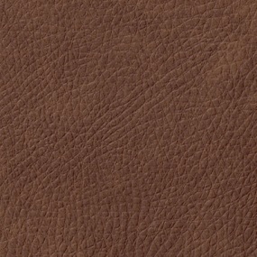 Naugahyde Nauga Leather Rawhide